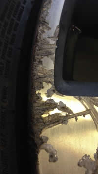sprayed it car respray bristol alloy repair bristol photo 92